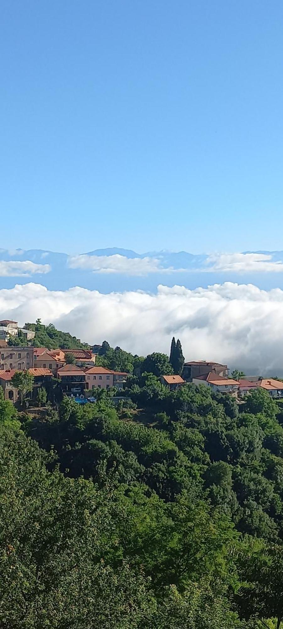 Guest House Aisi Sighnaghi Εξωτερικό φωτογραφία